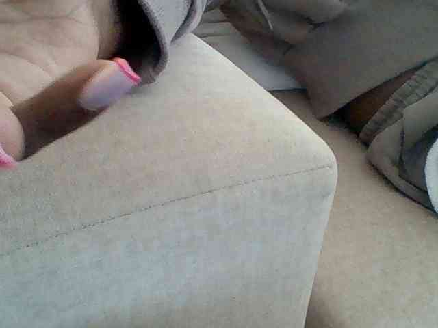 Dollie webcam