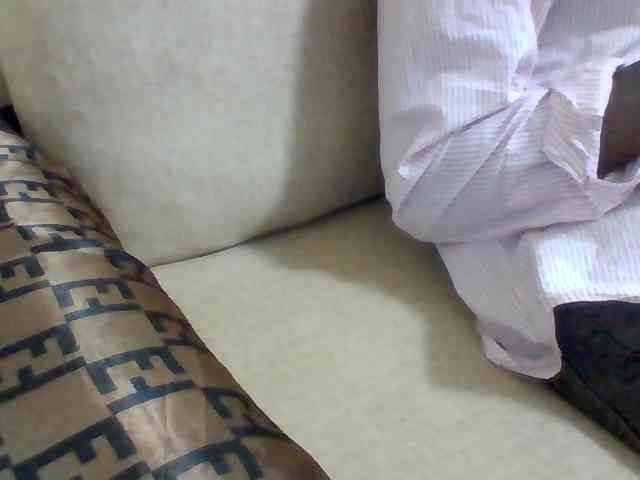 Dollie webcam
