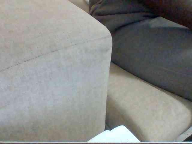 Dollie webcam