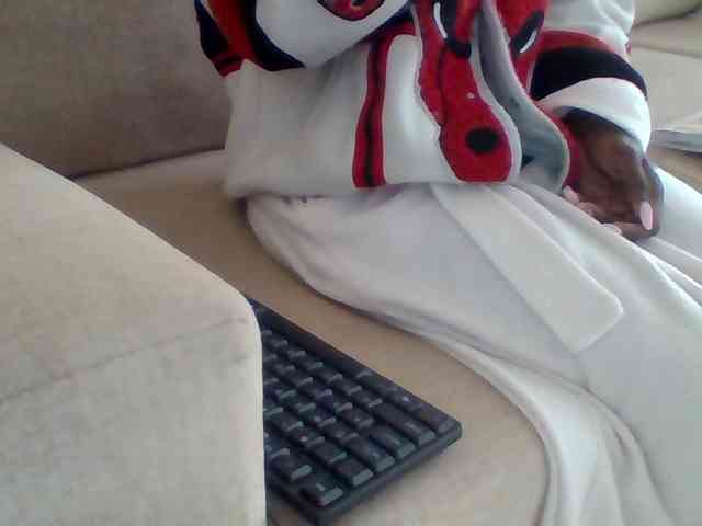 Dollie webcam