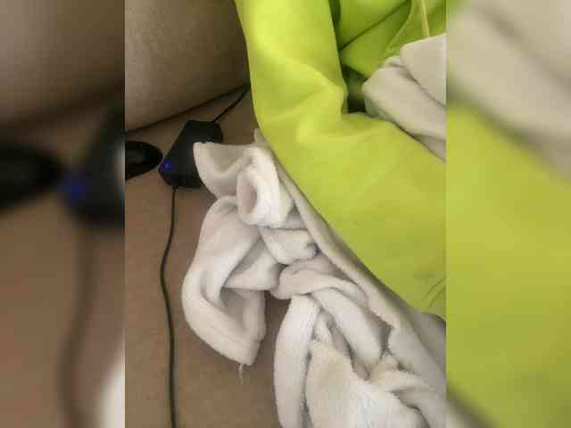 Dollie webcam