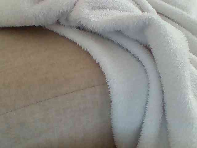 Dollie webcam