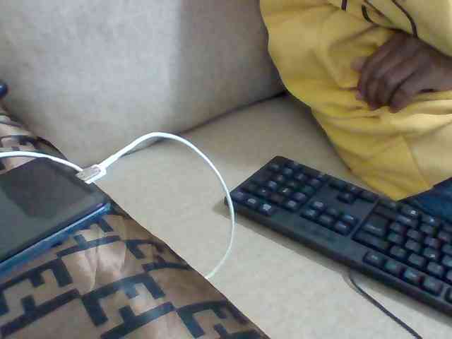 Dollie webcam