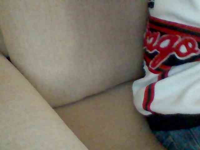Dollie webcam