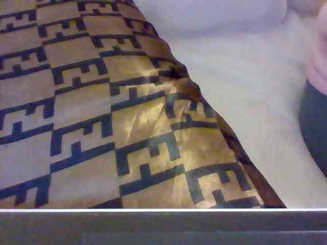 Dollie webcam