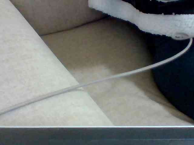 Dollie webcam