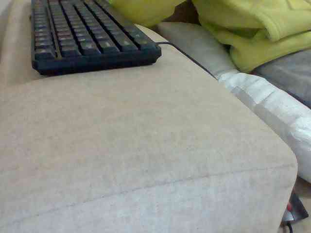 Dollie webcam