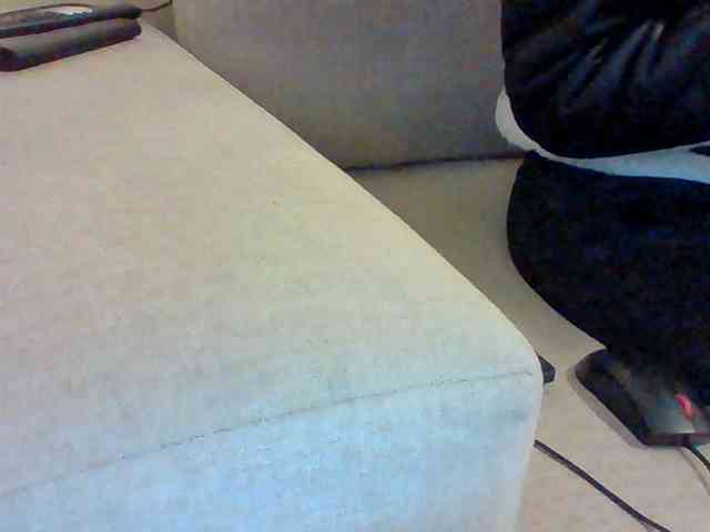 Dollie webcam