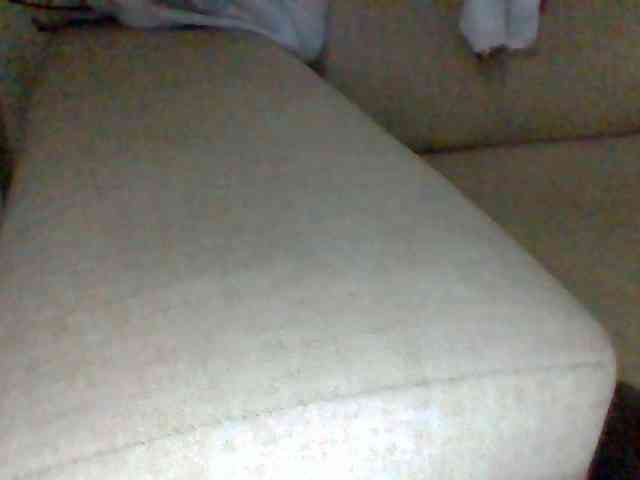 Dollie webcam