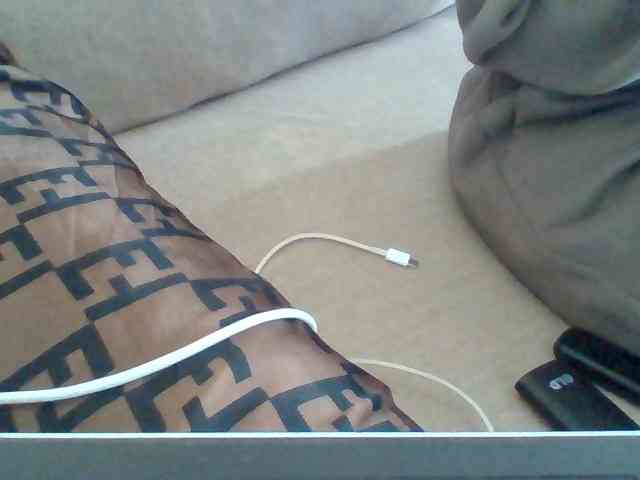 Dollie webcam