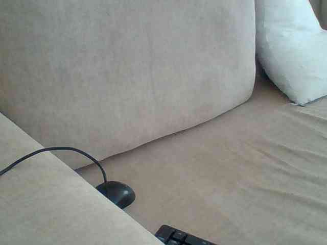Dollie webcam
