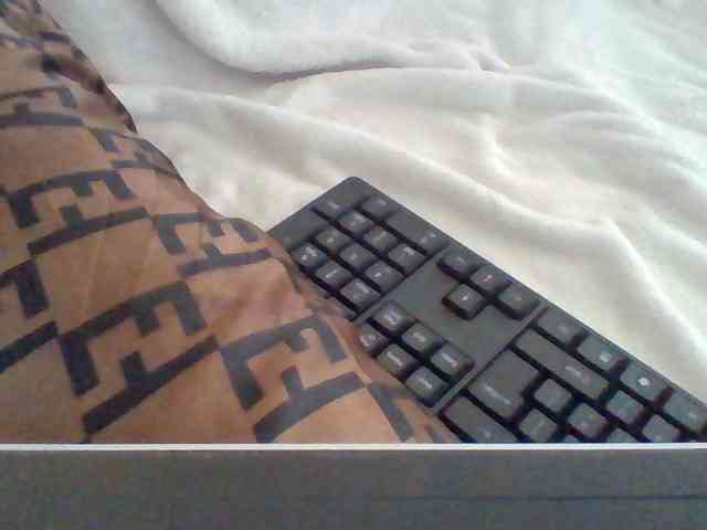 Dollie webcam