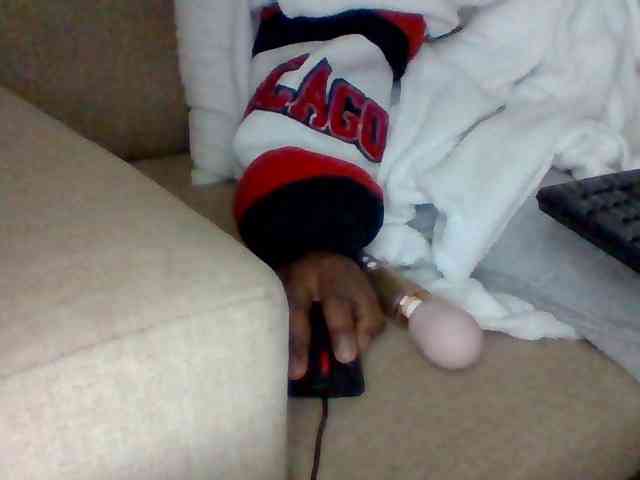 Dollie webcam