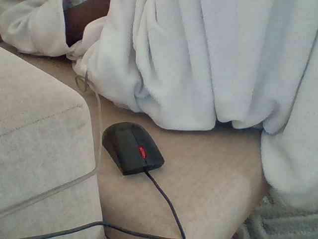 Dollie webcam
