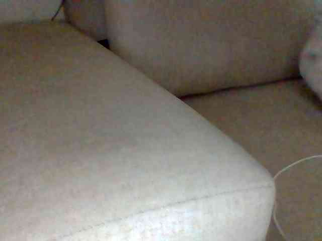 Dollie webcam