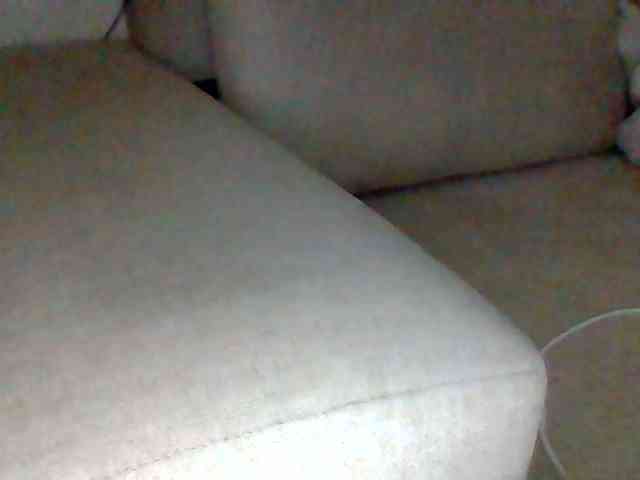 Dollie webcam