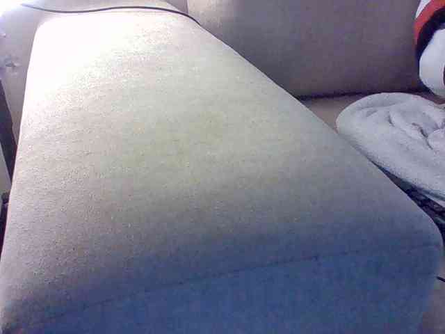 Dollie webcam