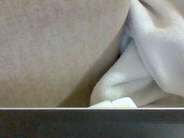 Dollie webcam