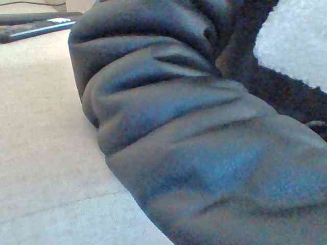 Dollie webcam