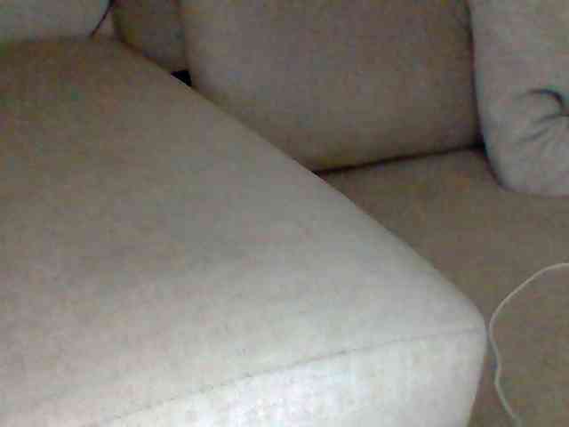 Dollie webcam
