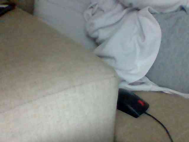 Dollie webcam