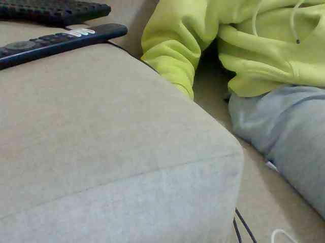 Dollie webcam
