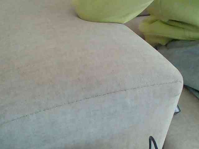 Dollie webcam