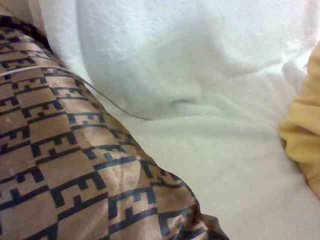 Dollie webcam
