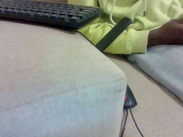 Dollie webcam
