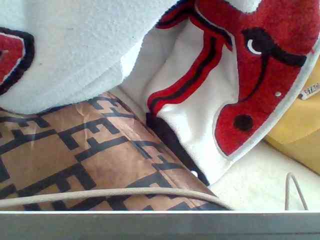 Dollie webcam