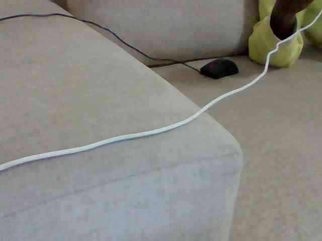 Dollie webcam