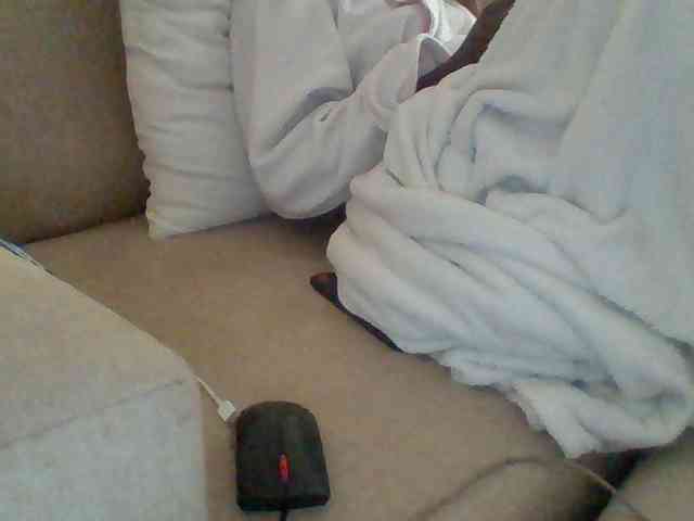 Dollie webcam