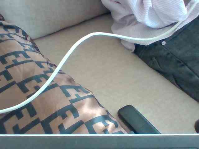 Dollie webcam