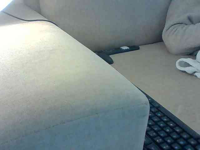 Dollie webcam