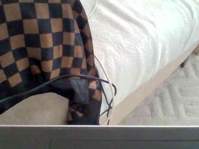 Dollie webcam