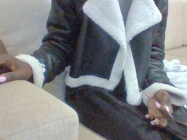 Dollie webcam