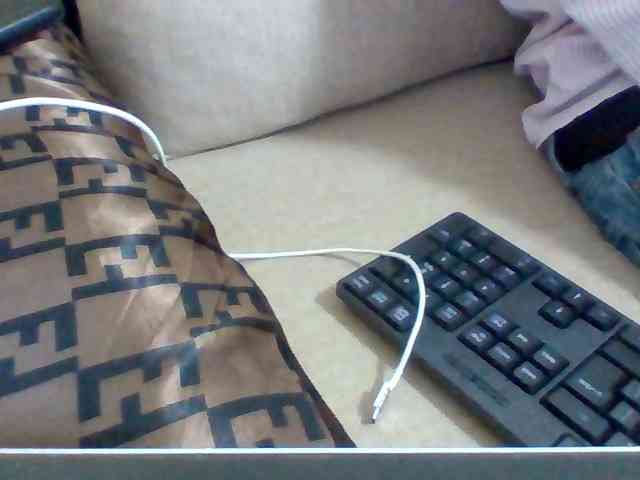 Dollie webcam