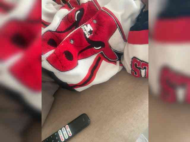 Dollie webcam