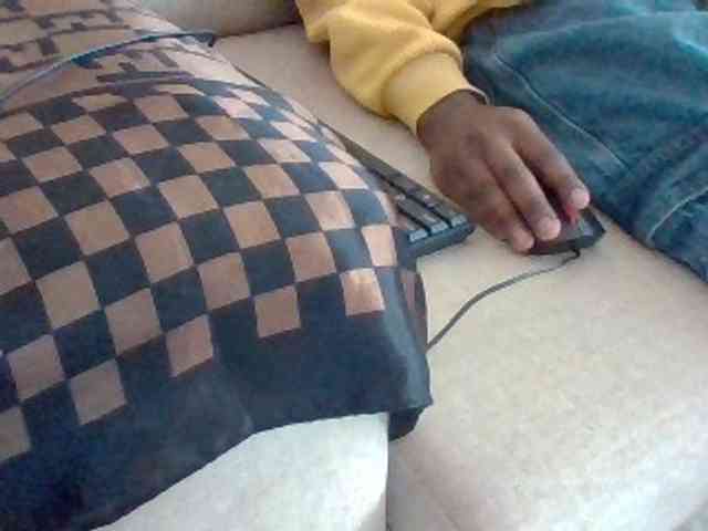 Dollie webcam