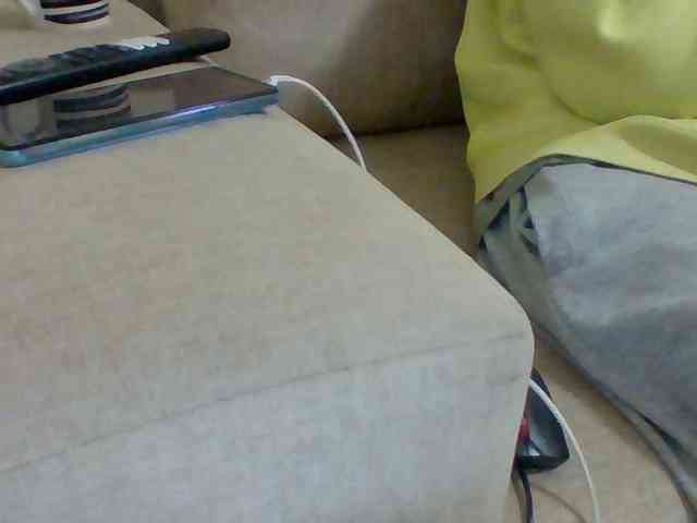 Dollie webcam