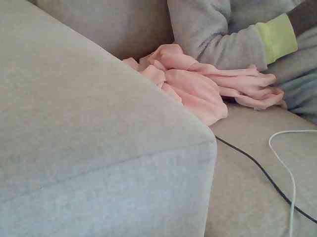 Dollie webcam