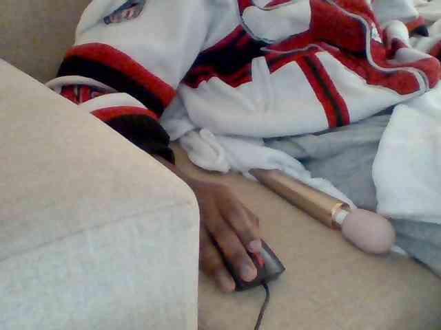 Dollie webcam