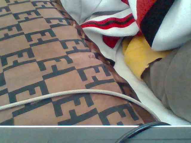 Dollie webcam