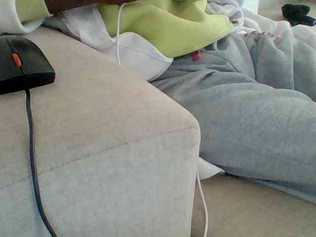 Dollie webcam
