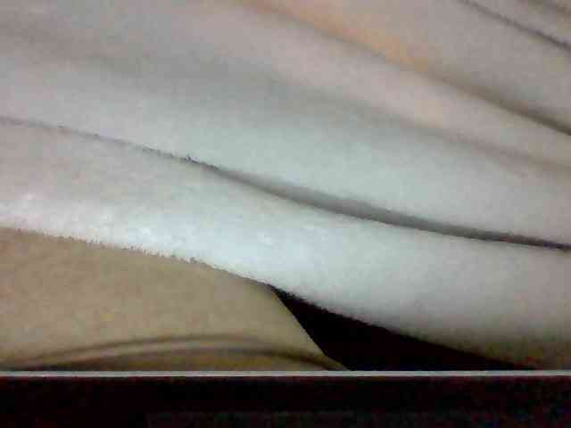 Dollie webcam