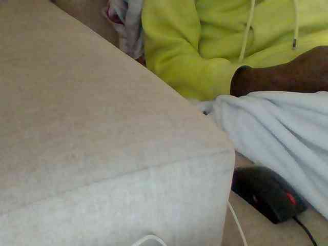 Dollie webcam