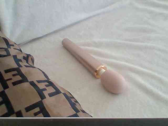 Dollie webcam