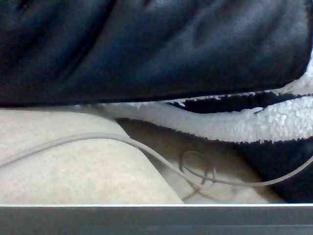 Dollie webcam