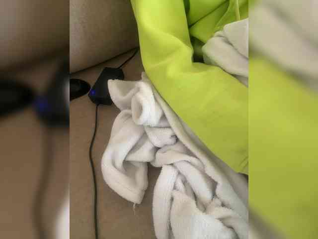 Dollie webcam