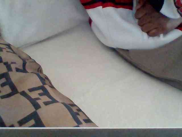 Dollie webcam